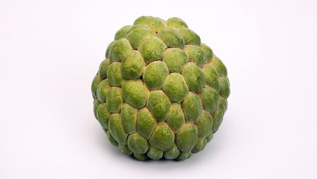 超級食物2026